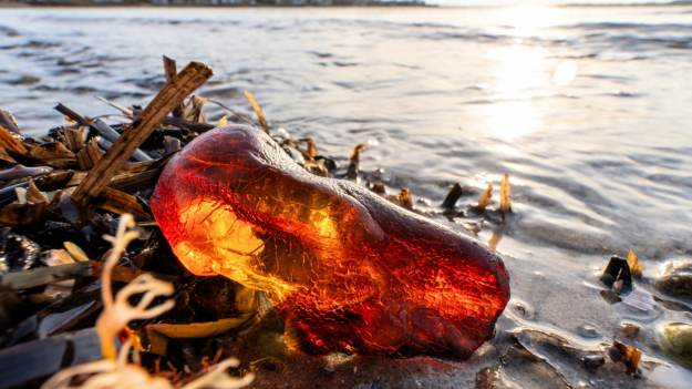 „Złoto Bałtyku” na wyciągnięcie ręki! Rekordowe..